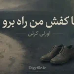 دانلود کتاب با کفش من راه برو اثر اورلی کرتن | PDF
